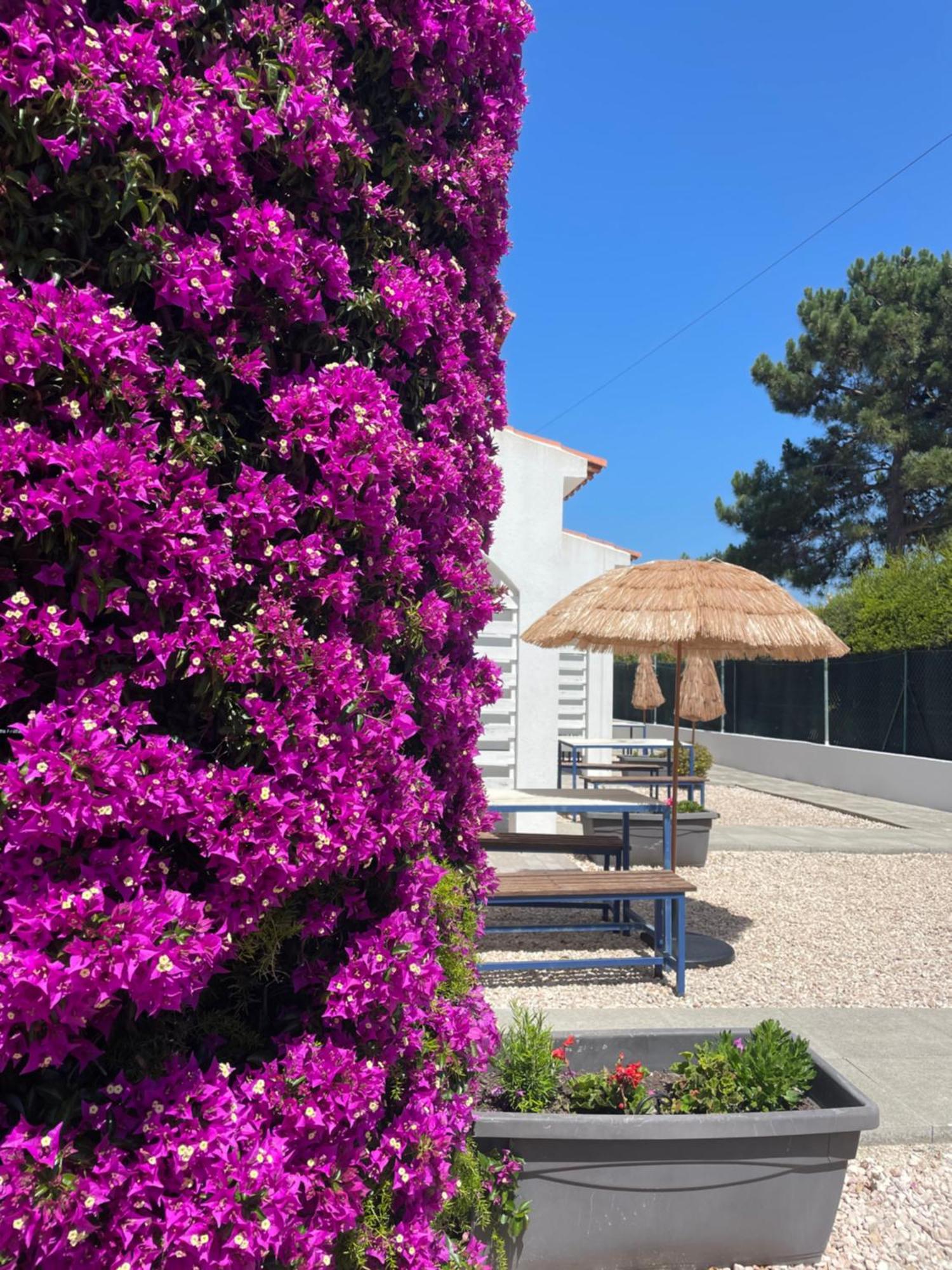 Apartamentos Apfel Aljezur Exterior foto